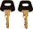 Schlüsselschalter K03 mit Schlüssel (2 Stück)